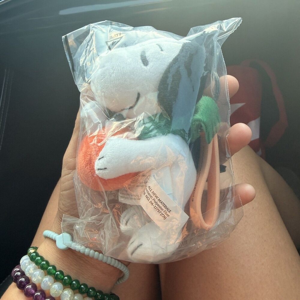 New Starbucks x Peanuts Snoopy Keychain Plush Halloween Pumpkin 2026